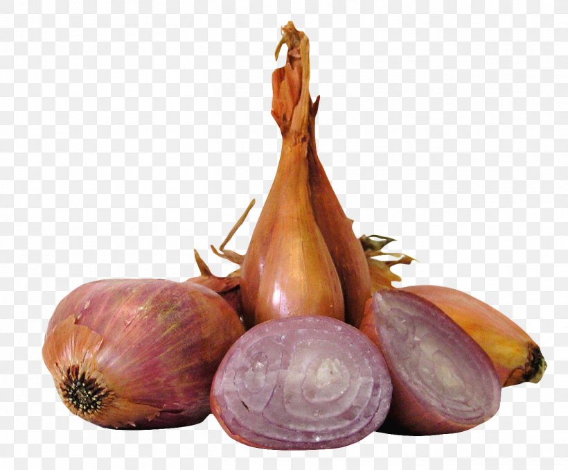Shallot Vegetable Allium Fistulosum Yellow Onion, PNG, 1356x1122px, Shallot, Allium Fistulosum, Broccoli, Farro, Flour Download Free