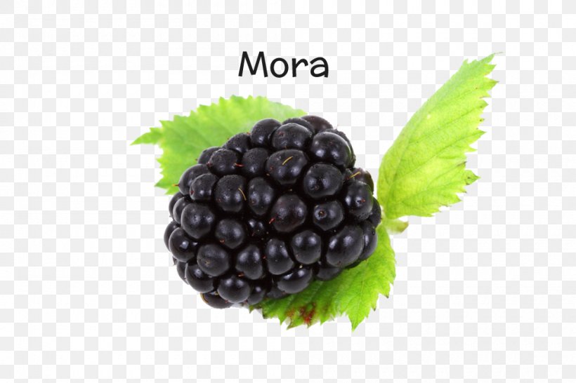 Blackberry Fruit Amora Image Resolution, PNG, 1000x666px, Blackberry, Amora, Berry, Boysenberry, Bramble Download Free