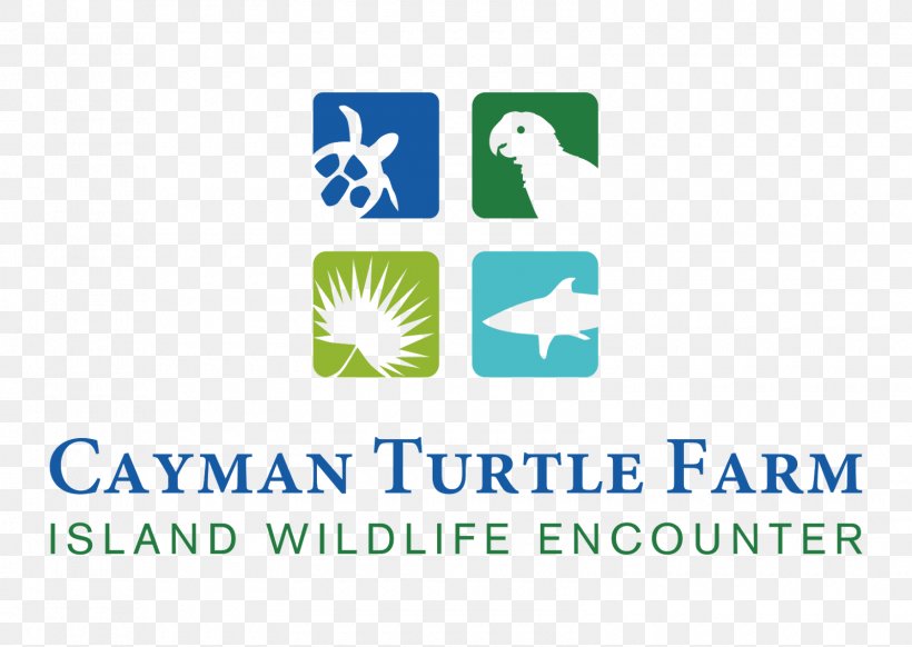 Cayman Turtle Farm Cayman Turtle Centre Cayman Islands Classic Logo, PNG, 1600x1136px, Cayman Turtle Centre, Area, Brand, Cayman Islands, Cayman Islands Classic Download Free