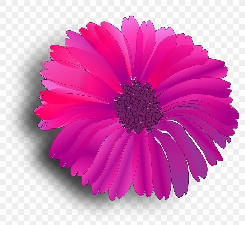 Clip Art Fuchsia Image Flower Vector Graphics, PNG, 1280x1176px, Fuchsia, Annual Plant, Aster, Chrysanths, Common Daisy Download Free