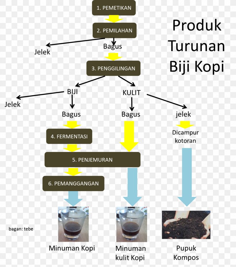 Coffee Bean Drink Coffea Process, PNG, 1144x1295px, Coffee, Chart, Coffea, Coffee Bean, Crop Download Free