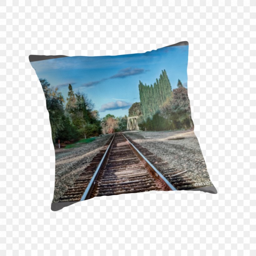 Cushion Throw Pillows, PNG, 875x875px, Cushion, Pillow, Throw Pillow, Throw Pillows Download Free