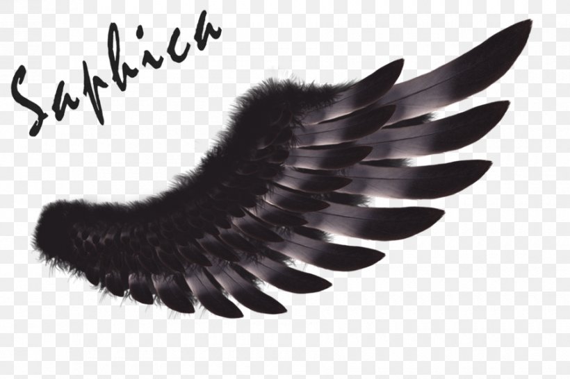 Feather Brush CorelDRAW, PNG, 900x600px, 2017, Feather, Black And White, Brush, Corel Download Free