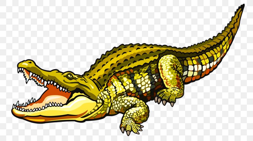 Nile Crocodile Alligator Saltwater Crocodile Clip Art, PNG, 800x458px, Nile Crocodile, Alligator, American Crocodile, Crocodilia, Dinosaur Download Free
