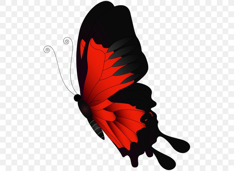 Butterfly Chroma Key Flight Clip Art, PNG, 519x600px, Butterfly, Butterflies And Moths, Channel, Chroma Key, Color Download Free