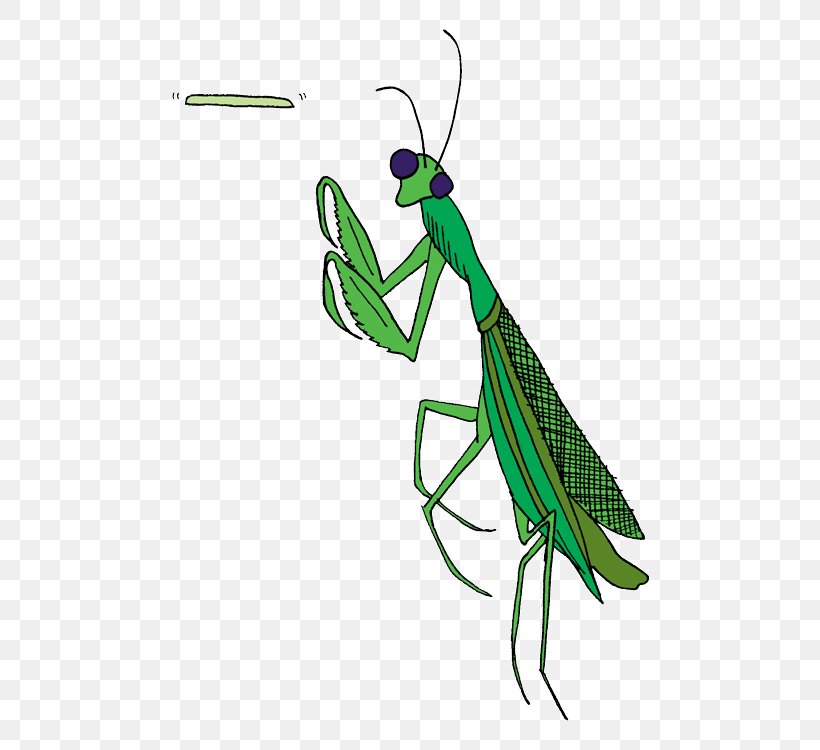 Mantis Insect Pest Cricket Clip Art, PNG, 500x750px, Mantis, Arthropod, Cricket, Cricket Like Insect, Insect Download Free