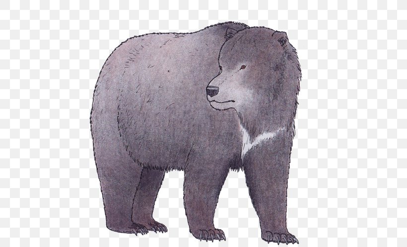 Grizzly Bear Polar Bear American Black Bear Cave Bear Short-faced Bears, PNG, 602x499px, Grizzly Bear, American Black Bear, Animal, Asian Black Bear, Bear Download Free