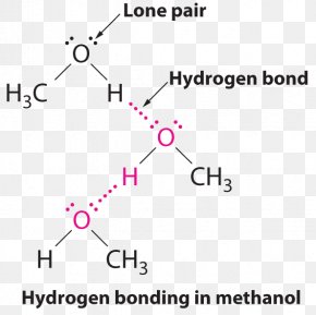 Molecule Water Molecular Model Hydrogen Bond Chemical Bond, PNG ...