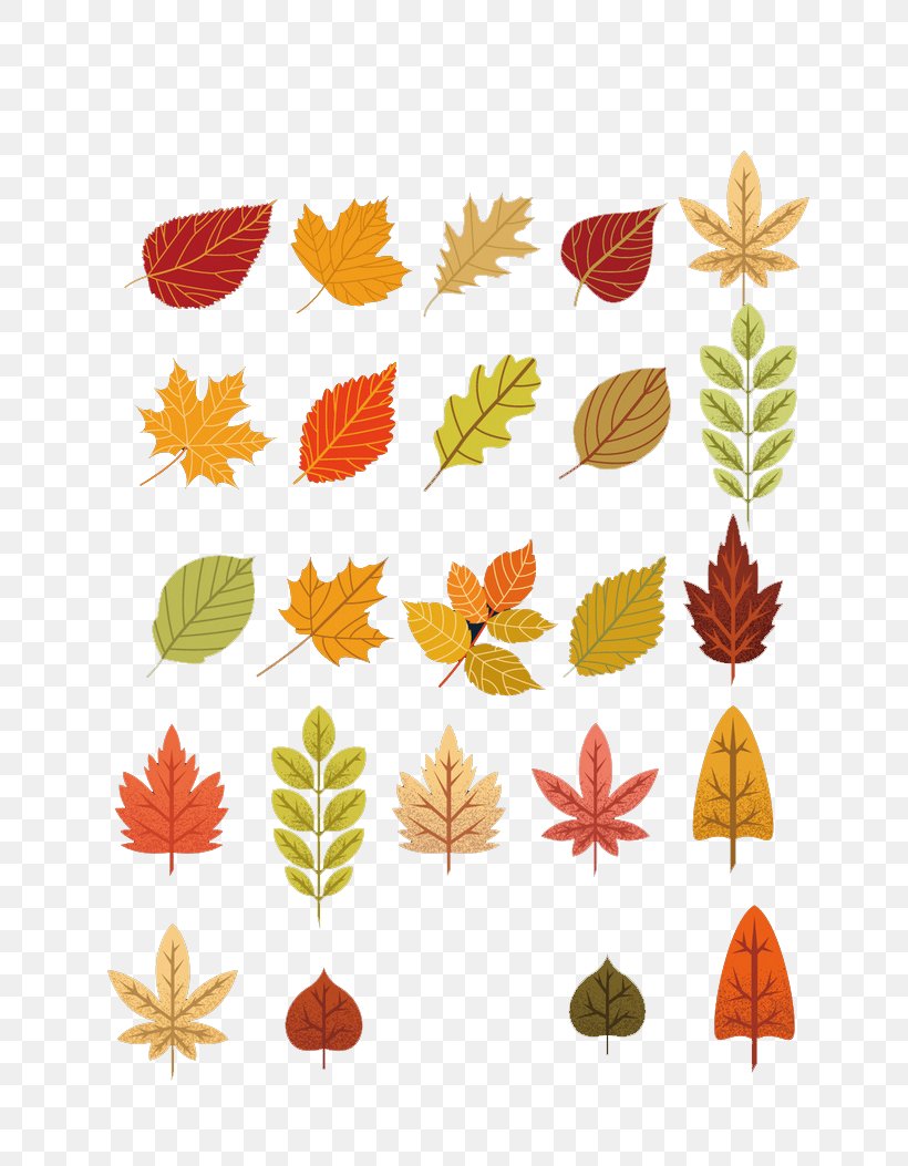Maple Leaf Autumn, PNG, 700x1053px, Leaf, Autumn, Clip Art, Computer Graphics, Floral Design Download Free