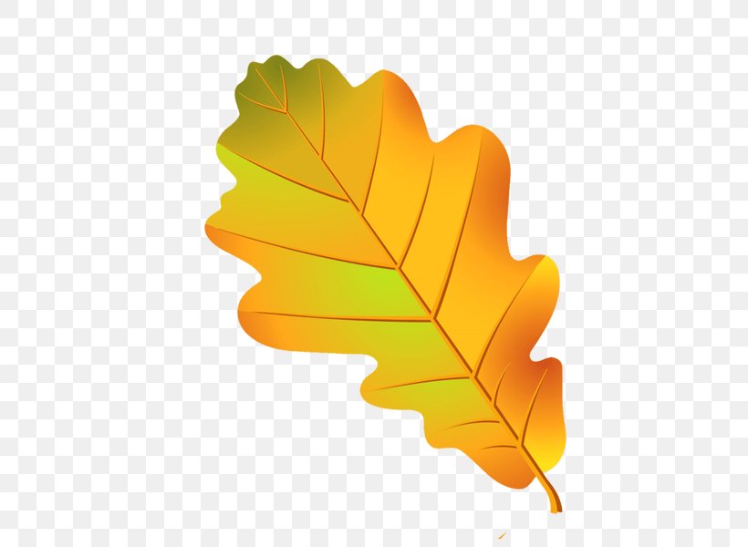 Maple Leaf, PNG, 600x600px, Leaf, Autumn, Deciduous, Maple Leaf, Orange Download Free