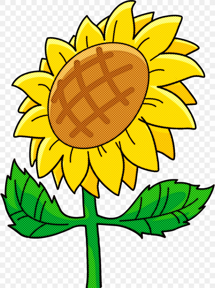 Sunflower Summer Flower, PNG, 867x1160px, Sunflower, College, Common Sunflower, Cut Flowers, Education Download Free