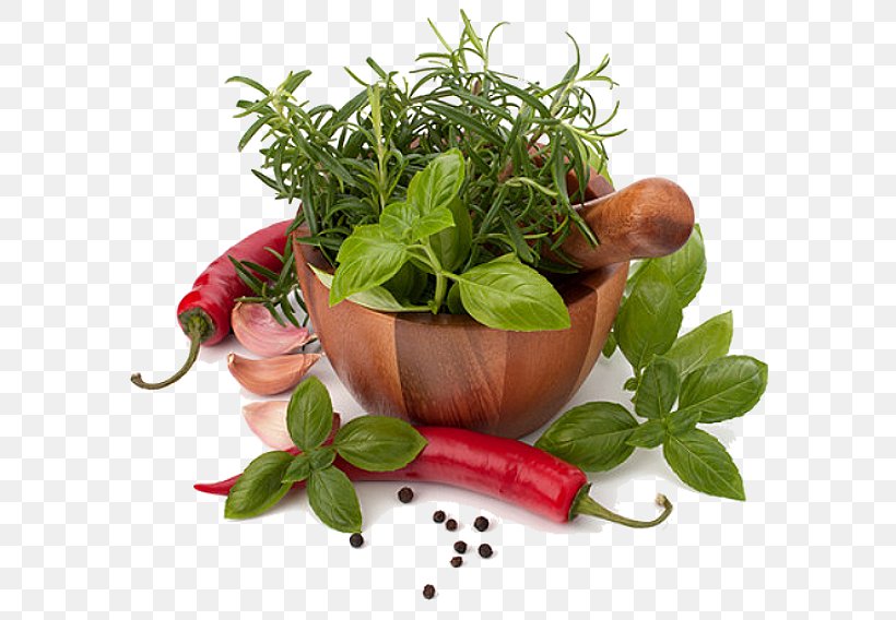 Herb Spice Condiment Flavor Mortar And Pestle, PNG, 593x568px, Herb, Chili Pepper, Condiment, Cuisine, Culinary Art Download Free