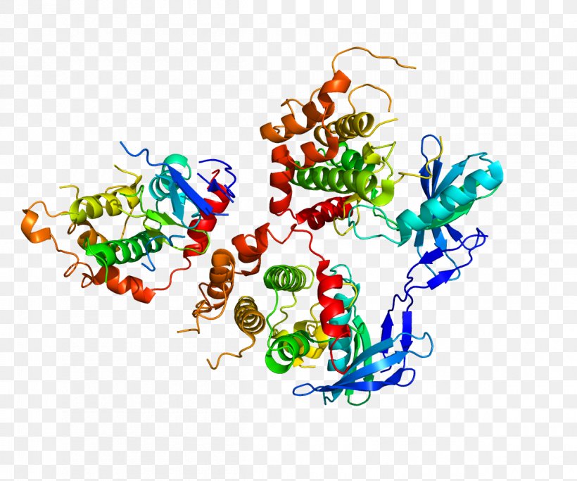 MAP2K4 Mitogen-activated Protein Kinase Dual-specificity Kinase, PNG, 1200x1000px, Watercolor, Cartoon, Flower, Frame, Heart Download Free