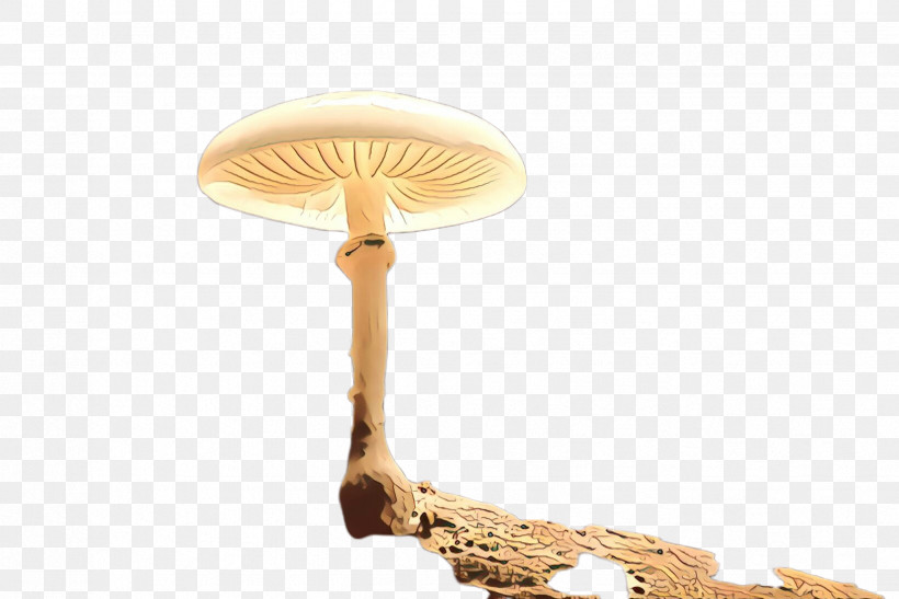 Mushroom Lamp Light Fixture Ceiling Agaricaceae, PNG, 2448x1635px, Mushroom, Agaricaceae, Ceiling, Lamp, Light Fixture Download Free