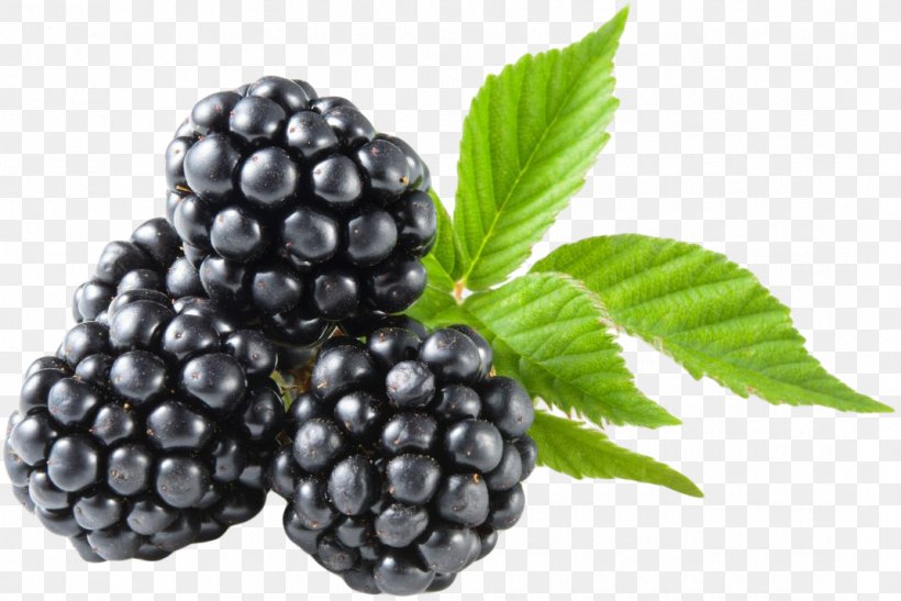 Seedless Fruit Blackberry Berries Low-carbohydrate Diet, PNG, 1070x715px, Fruit, Berries, Berry, Bilberry, Blackberry Download Free