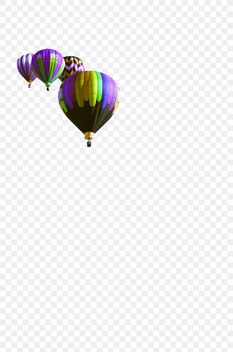 Balloon Download Icon, PNG, 2987x4500px, Balloon, Gratis, Hot Air Balloon, Leisure, Purple Download Free