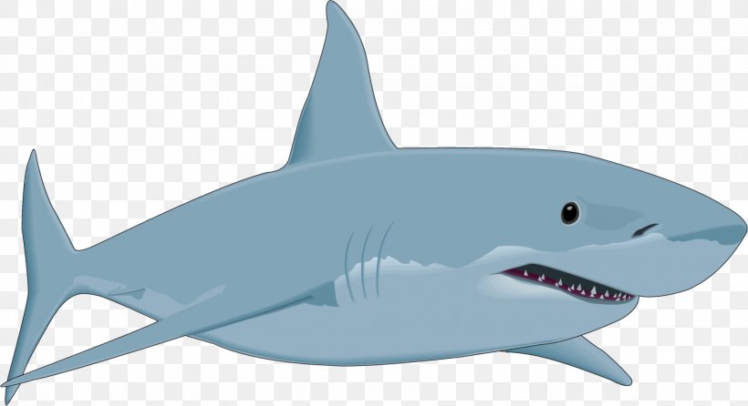 Great White Shark Download Clip Art, PNG, 2045x1114px, Shark, Bull Shark, Cartilaginous Fish, Drawing, Fin Download Free