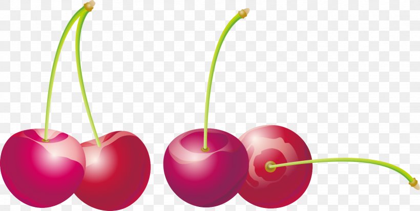 Cherry Auglis, PNG, 1639x825px, Cherry, Auglis, Designer, Food, Fruit Download Free