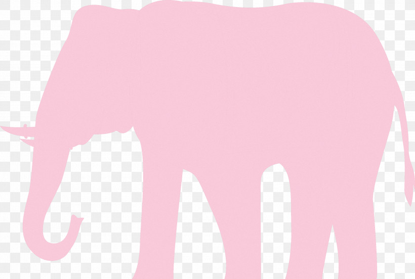 Indian Elephant, PNG, 3000x2022px, Indian Elephant, African Elephants, Elephant, Meter, Pink M Download Free