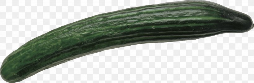 Pickled Cucumber Raita, PNG, 3476x1140px, Pickled Cucumber, Cucumber, Cucumber Gourd And Melon Family, Cucumis, Food Download Free