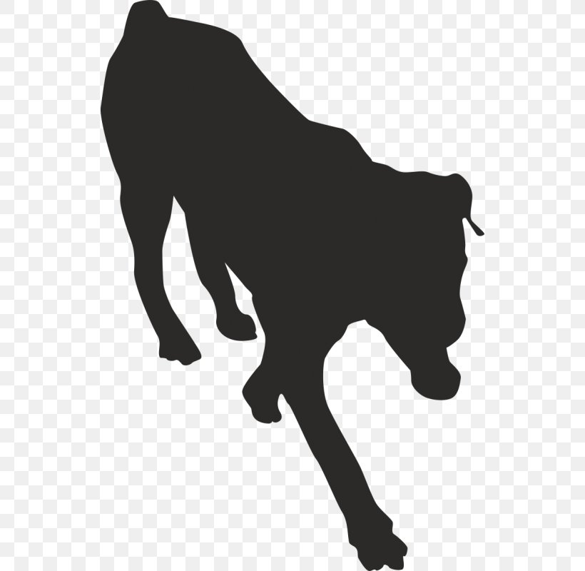 Euclidean Vector Silhouette Vector Graphics Dog Breed, PNG, 800x800px, Silhouette, Animal, Black, Black And White, Breed Download Free