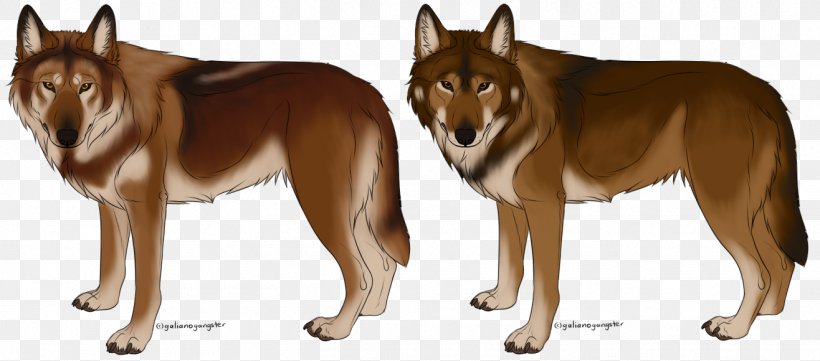 Saarloos Wolfdog Czechoslovakian Wolfdog Seppala Siberian Sleddog Shikoku Dog Breed, PNG, 1316x580px, Saarloos Wolfdog, Breed, Carnivoran, Czechoslovakian Wolfdog, Dingo Download Free