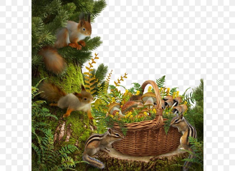 Squirrel Paper Forest, PNG, 600x600px, Squirrel, Autumn, Collage, Digital Scrapbooking, Fauna Download Free
