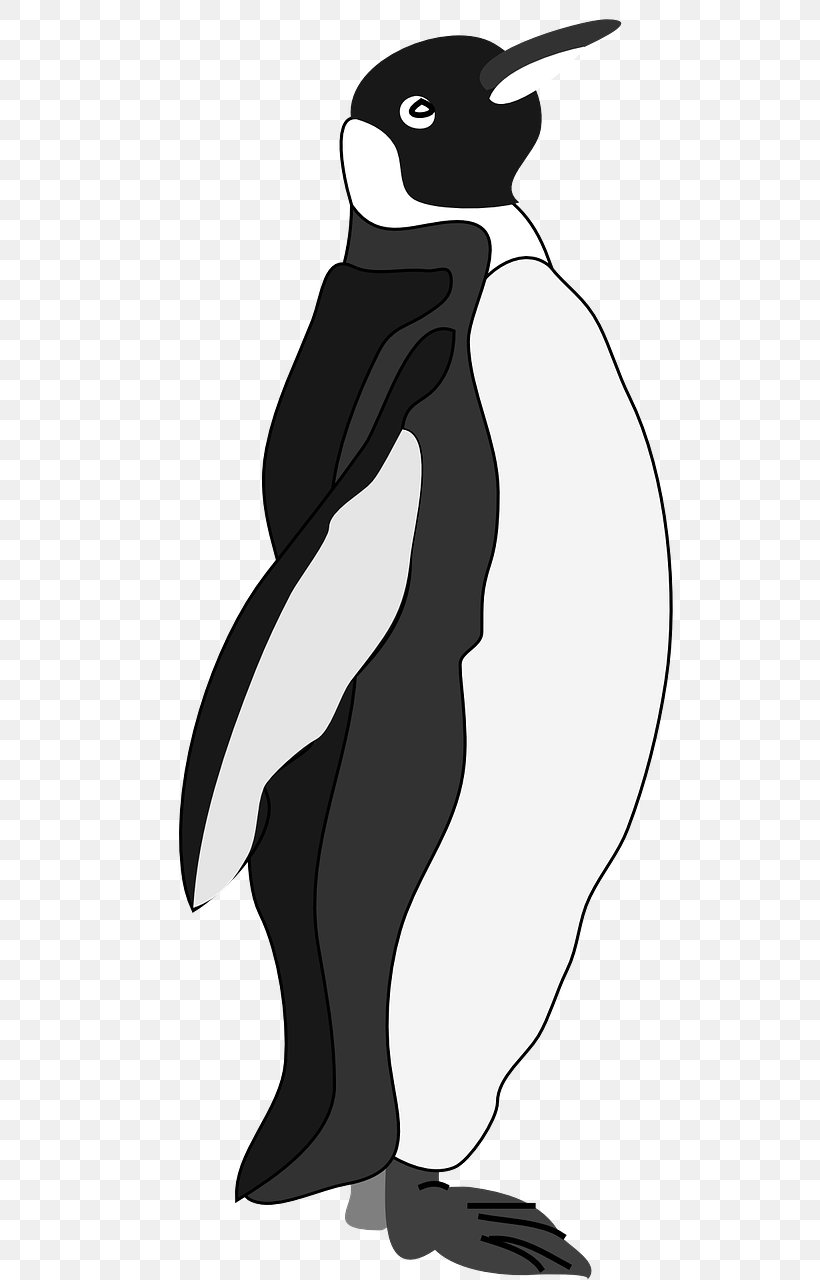 Emperor Penguin Free Content Clip Art, PNG, 640x1280px, Penguin, Adxe9lie Penguin, Art, Beak, Bird Download Free