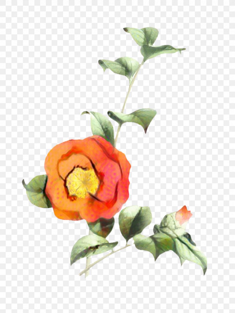 Floral Flower Background, PNG, 900x1200px, Cut Flowers, Anthurium, Artificial Flower, Bouquet, Bud Download Free