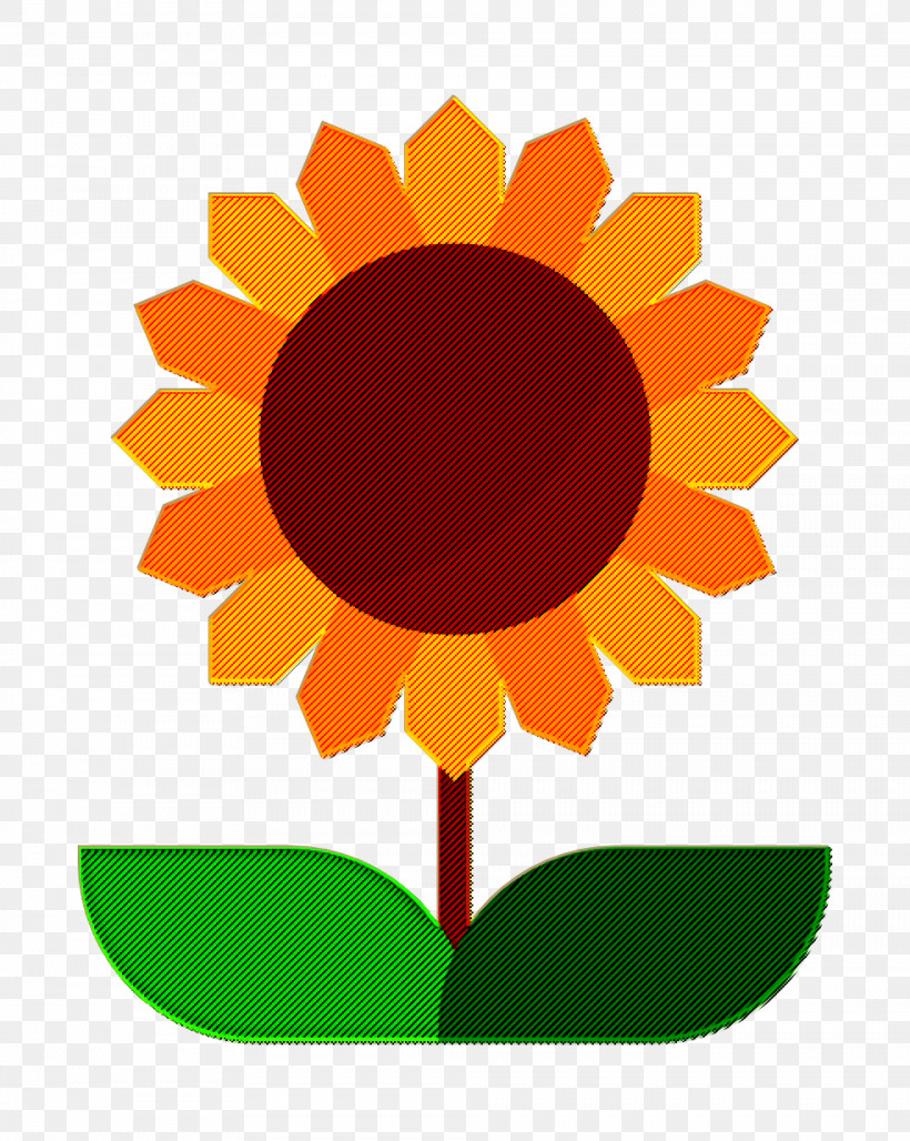 Sunflower Icon Farming And Gardening Icon Flower Icon, PNG, 984x1234px, Farming And Gardening Icon, Daisy Family, Flower, Flower Icon, Sunflower Seeds Download Free
