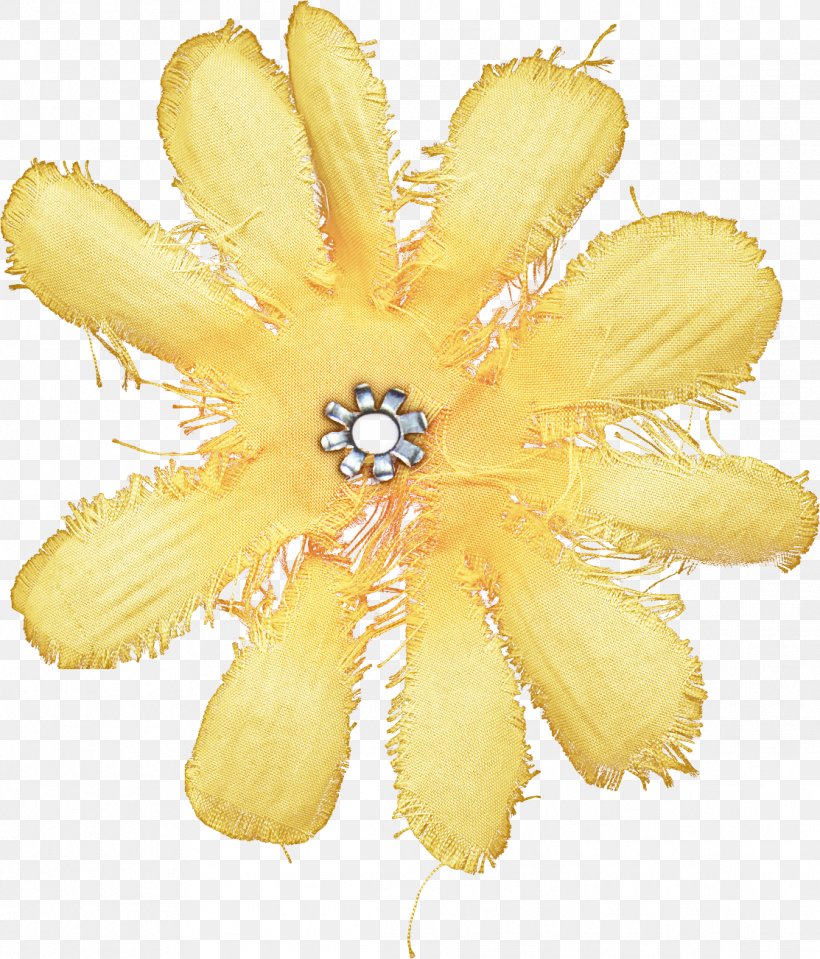 Yellow Plant Flower Hair Accessory Petal, PNG, 1113x1303px, Yellow, Fashion Accessory, Flower, Hair Accessory, Petal Download Free