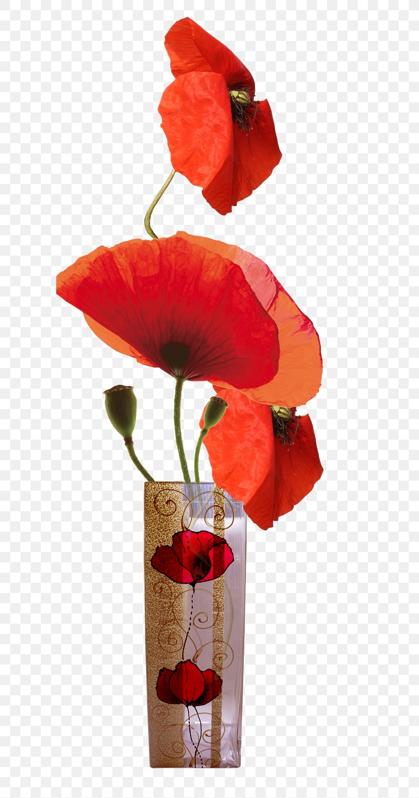 Common Poppy Photography Painting Clip Art, PNG, 600x1561px, Watercolor, Cartoon, Flower, Frame, Heart Download Free