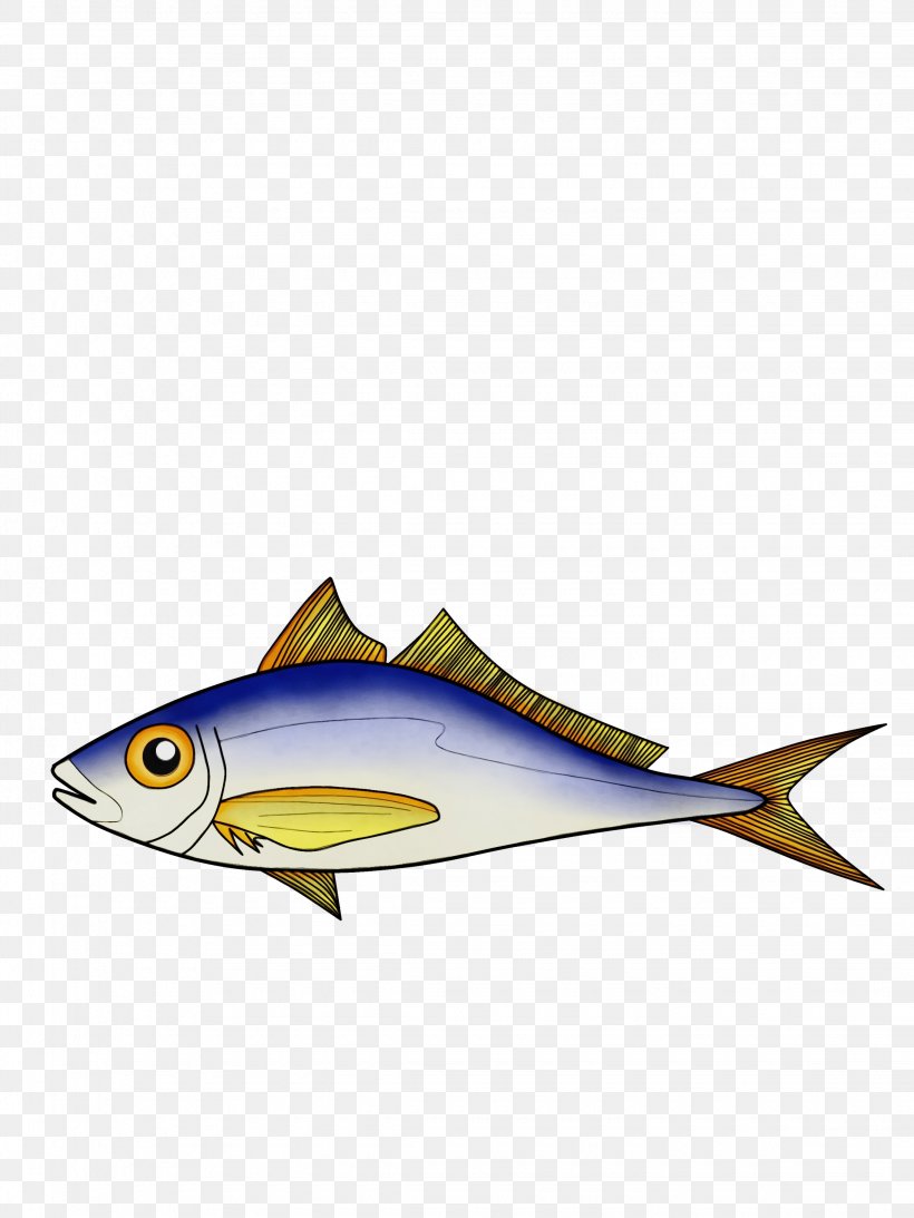 Fish Fish Fin Perch Bony-fish, PNG, 2250x3000px, Watercolor, Bonyfish, Fin, Fish, Forage Fish Download Free