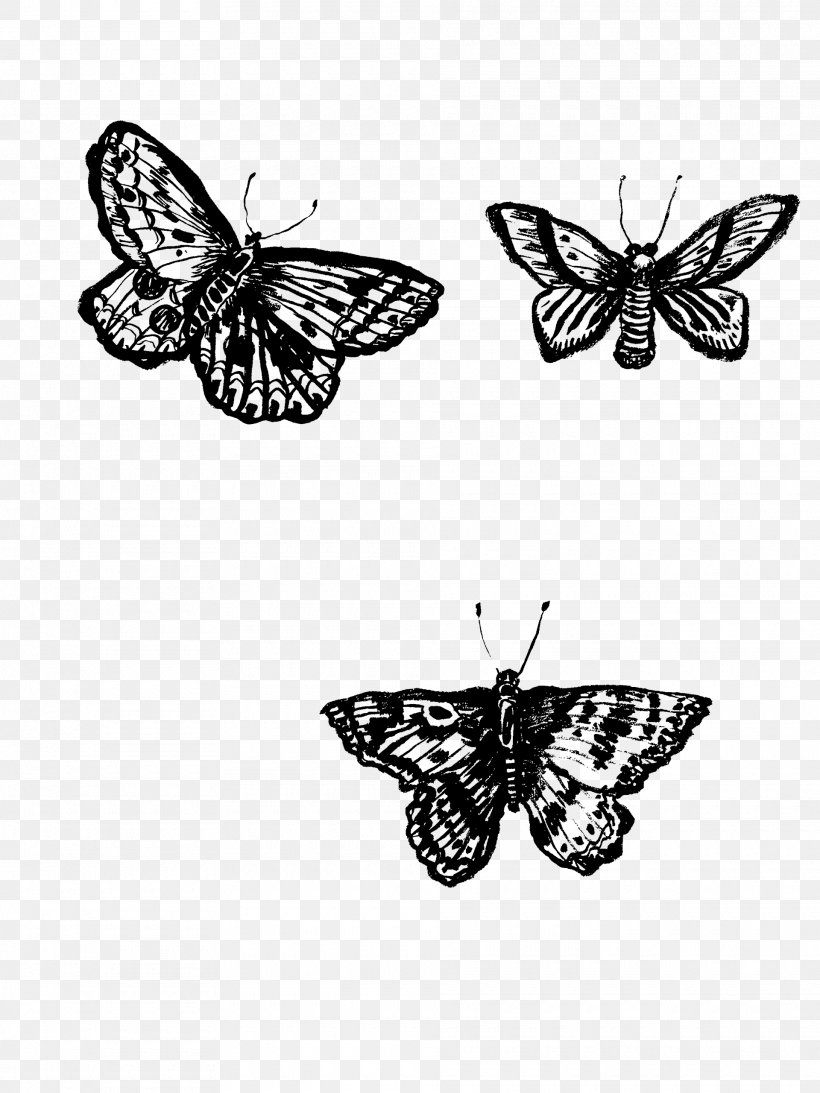 Monarch Butterfly Pieridae Moth Brush-footed Butterflies, PNG, 1920x2560px, Monarch Butterfly, Arthropod, Black And White, Brush Footed Butterfly, Brushfooted Butterflies Download Free