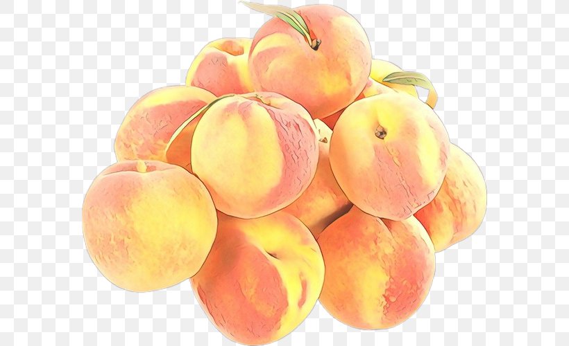 Peach European Plum Fruit Food Plant, PNG, 585x500px, Cartoon, European Plum, Food, Fruit, Grape Download Free