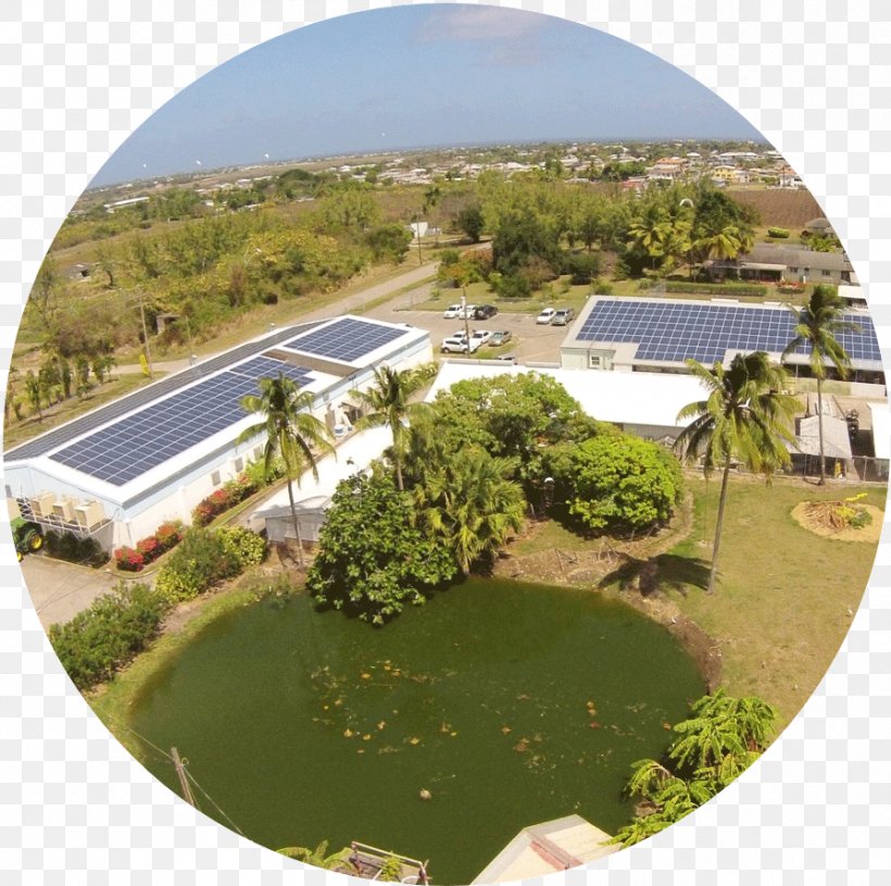 Renewable Energy Power Purchase Agreement Solar Power Property, PNG, 894x889px, Energy, Contract, Estate, Farm, Home Download Free