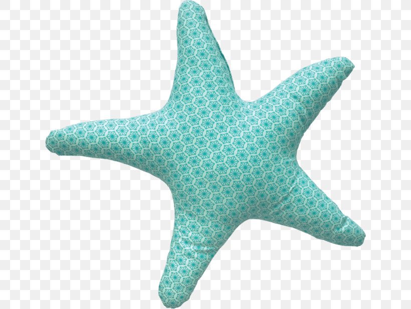Starfish Sea Cushion Throw Pillows, PNG, 640x618px, Starfish, Aqua, Blue Sea Star, Cots, Cushion Download Free