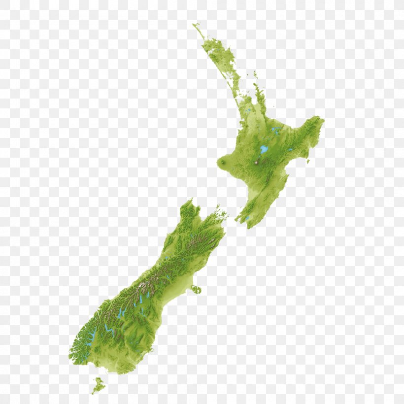 Auckland Kaikoura Orokonui Ecosanctuary Wellington Lake Rotopiko, PNG, 1000x1000px, Auckland, Cartogram, Grass, Green, Ivy Download Free