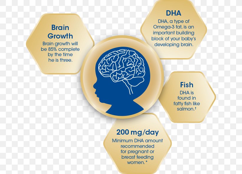 Docosahexaenoic Acid Brain Pharmaceutical Drug Agy Food, PNG, 644x592px, Docosahexaenoic Acid, Agy, Auction, Brain, Business Download Free