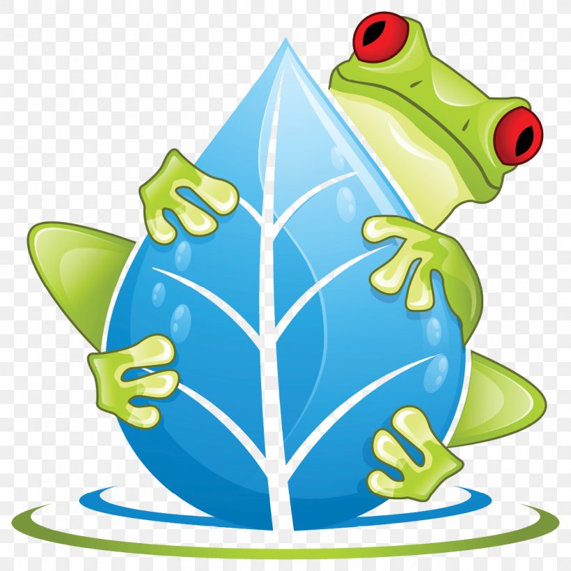 Frog Cartoon, PNG, 1067x1067px, Frog, Swamp, Tree Frog, True Frog Download Free