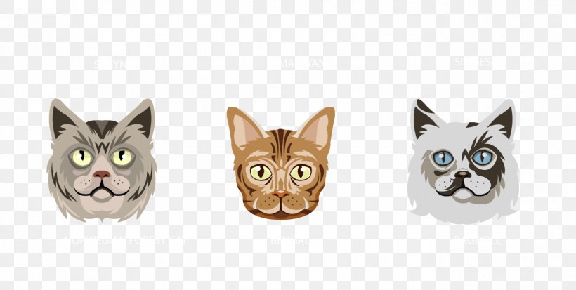 Cat Kitten Avatar, PNG, 1377x695px, Cat, Avatar, Carnivoran, Cat Like Mammal, Domestic Short Haired Cat Download Free
