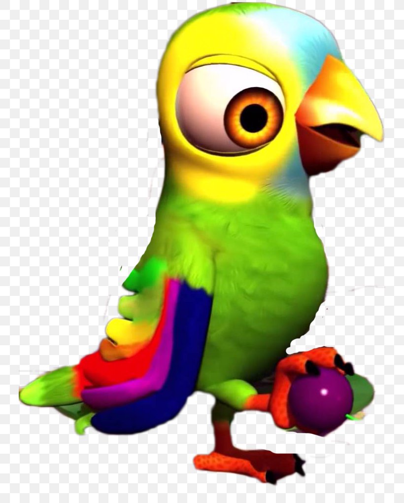 El Lorito Pepe Image Bartolito Macaw, PNG, 744x1020px, Macaw, Beak, Bird, Birthday, Chicken Download Free