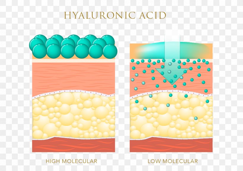 Hyaluronic Acid Skin Care Elastin Anti-aging Cream, PNG, 1191x842px ...