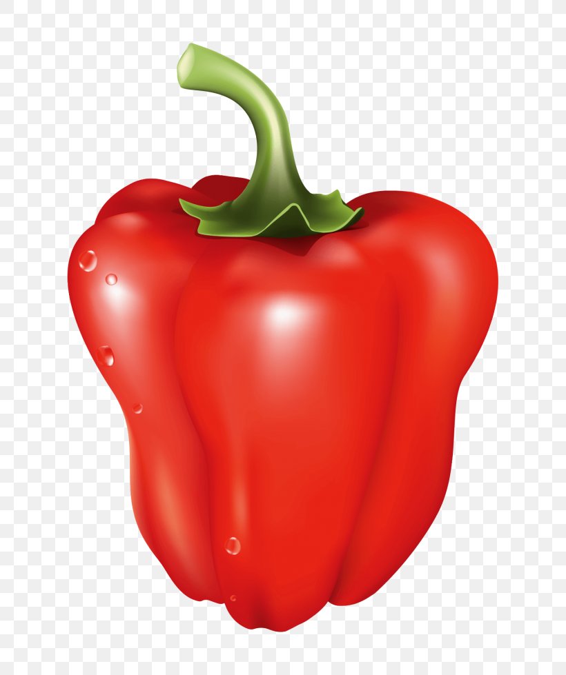 Piquillo Pepper Habanero Yellow Pepper Tabasco Pepper Cayenne Pepper, PNG, 715x979px, Piquillo Pepper, Bell Pepper, Bell Peppers And Chili Peppers, Capsicum, Cayenne Pepper Download Free