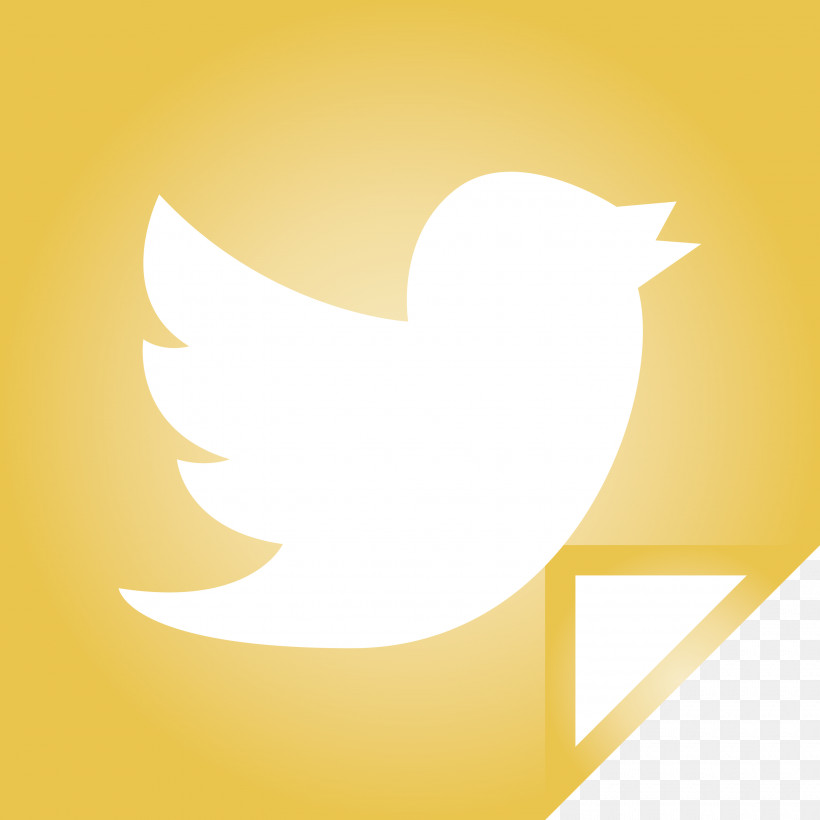 Twitter, PNG, 3000x3000px, Twitter, Beak, Bird Of Prey, Computer, M Download Free