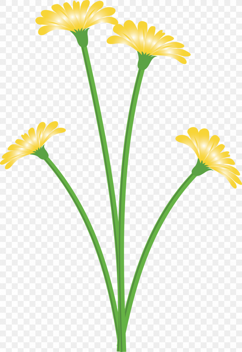 Dandelion Flower, PNG, 2062x3000px, Dandelion Flower, Biology, Common Daisy, Cut Flowers, Daffodil Download Free