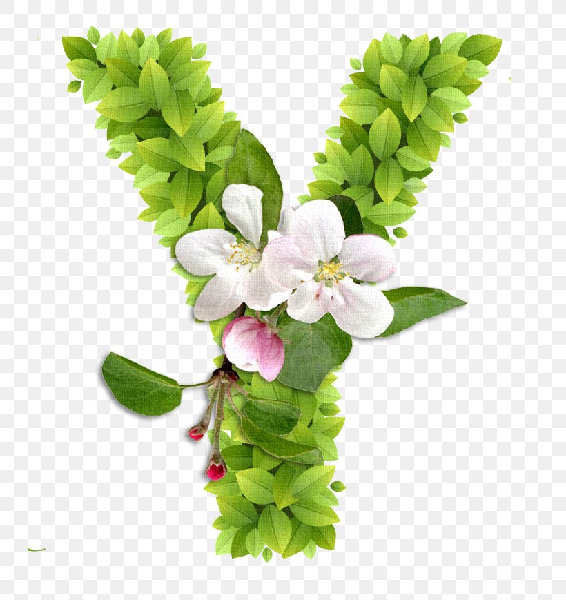Floral Design Letter English Alphabet Flower, PNG, 739x869px, Floral Design, Alphabet, Art, Cut Flowers, English Alphabet Download Free