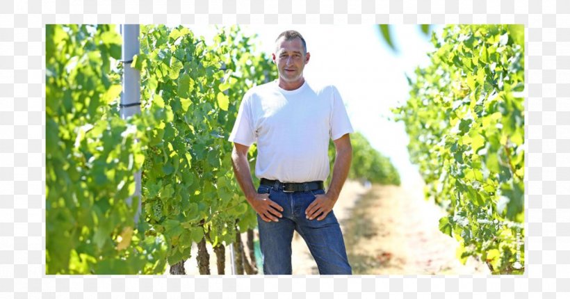 Love Agriculture Soulmate Crop Farmer, PNG, 1200x630px, Love, Agriculture, Agronomy, Alsace, Alsatian Download Free