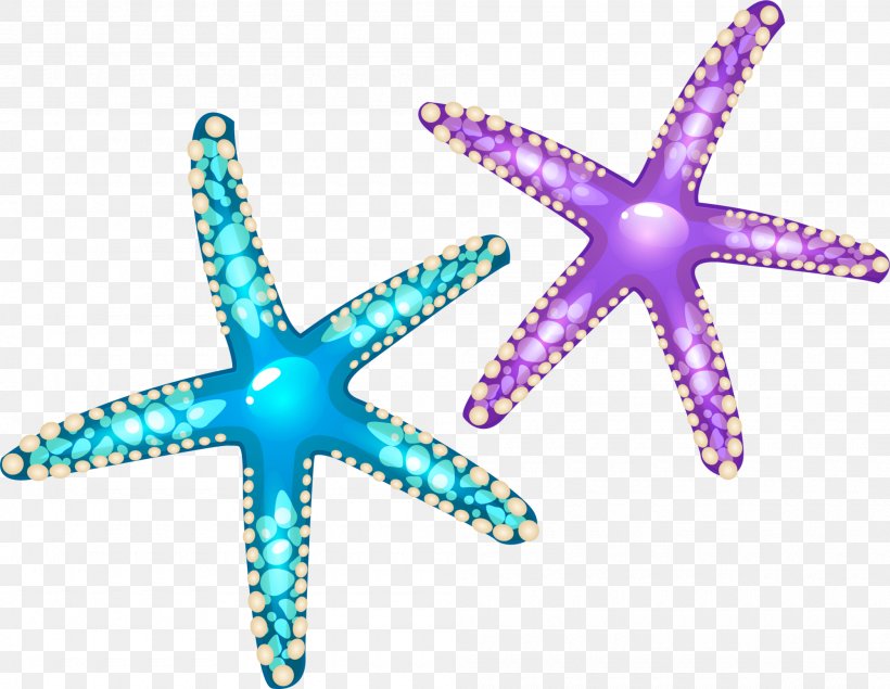 Starfish Euclidean Vector Seashell, PNG, 2000x1551px, Starfish, Artworks, Callopatiria Granifera, Cartoon, Echinoderm Download Free