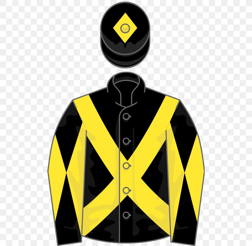 Thoroughbred 2015 Belmont Stakes Horse Racing Jockey Clip Art, PNG, 512x799px, 2015 Belmont Stakes, Thoroughbred, Belmont Stakes, Brand, Equestrian Download Free
